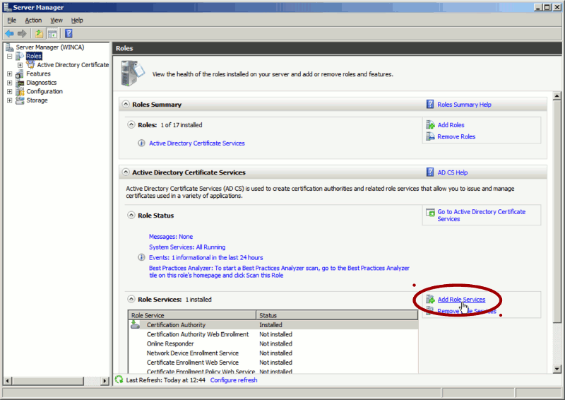 'Add role service' window (Windows 2008)