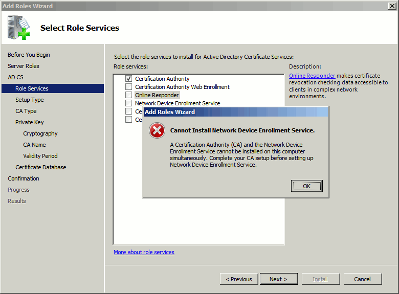 'Select role services' window (Windows 2008)